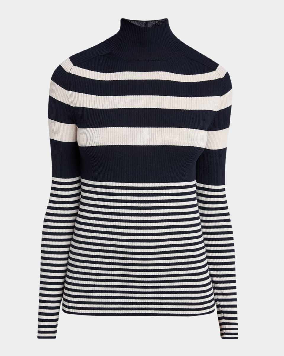 Stripe Wool Turtleneck Sweater